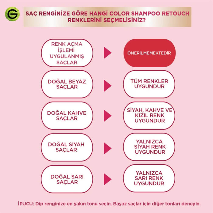 Garnier Color Shampoo 2.0 - 4