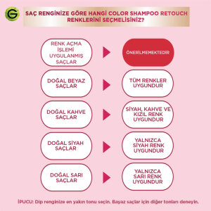 Garnier Color Shampoo 4.0 - 4