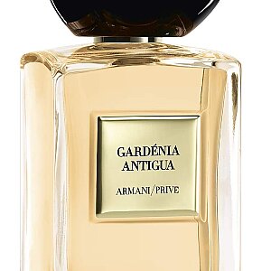 Giorgio Armani Prive Gardenia Antigua Unisex Parfüm Edt 100 Ml - 5