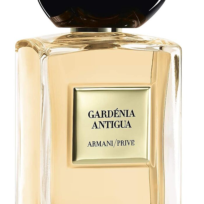 Giorgio Armani Prive Gardenia Antigua Unisex Parfüm Edt 100 Ml - 5