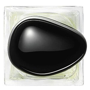 Giorgio Armani Prive The Yulong Unisex Parfüm Edt 100 Ml - 5