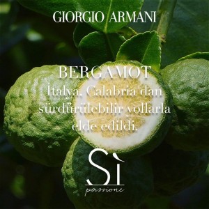 Giorgio Armani Si Passione Eclat Kadın Parfüm Edp 50 Ml - Thumbnail