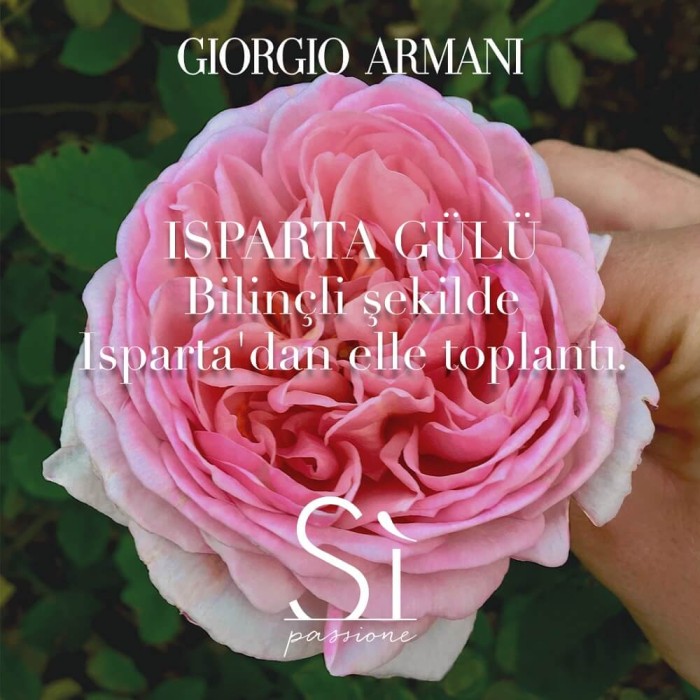 Giorgio Armani Si Passione Eclat Kadın Parfüm Edp 50 Ml