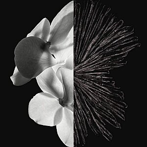 Givenchy Gentleman Erkek Parfüm Edp 100 Ml - 2