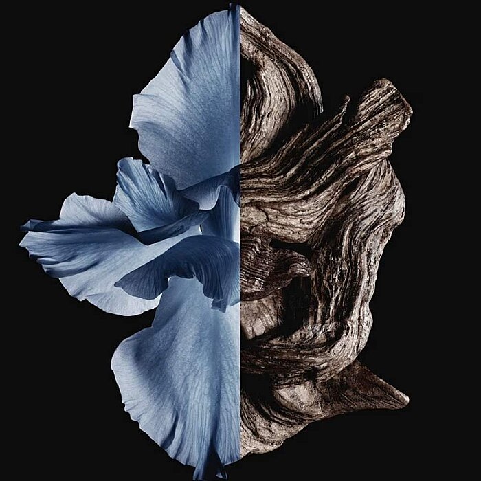 Givenchy Gentleman Erkek Parfüm Edt Intense 100 Ml - 3