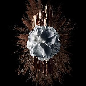 Givenchy Gentlemen Society Extreme Erkek Parfüm Edp 60 Ml - 3