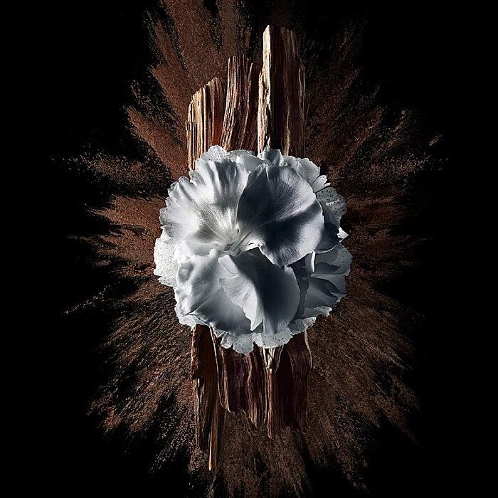 Givenchy Gentlemen Society Extreme Erkek Parfüm Edp 60 Ml - 3