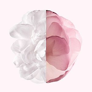 Givenchy Irresistible Very Floral Kadın Parfüm Edp 80 Ml - 3