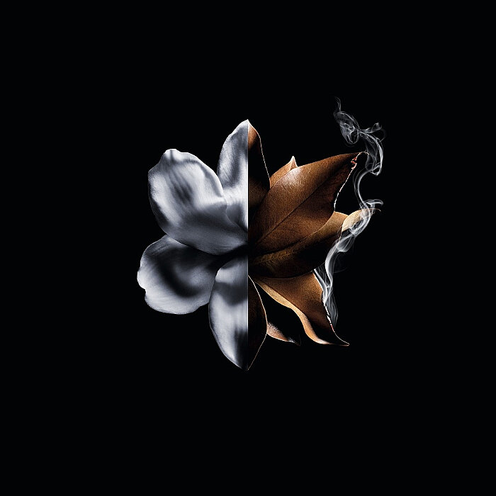 Givenchy L'Interdit Absolu Intense Kadın Parfüm Edp 80 Ml - 4