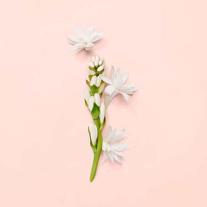 Gucci Bloom Kadın Parfüm Edp 50 Ml - 5