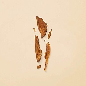 Gucci Guilty Absolute Kadın Parfüm Edp 50 Ml - 3