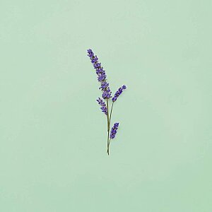 Gucci Guilty Pour Homme Erkek Parfüm Edt 150 Ml - 6