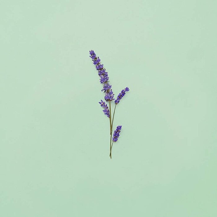 Gucci Guilty Pour Homme Erkek Parfüm Edt 150 Ml - 6