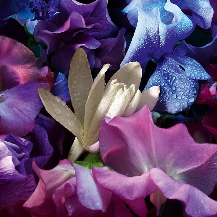 Guerlain Absolus Allegoria Florabloom Kadın Parfüm Edp 125 Ml - 3