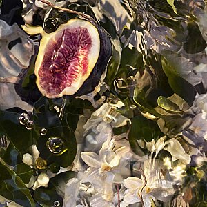 Guerlain Aqua Allegoria Forte Nerolia Vetiver Unisex Parfum Edp 75 Ml - 4