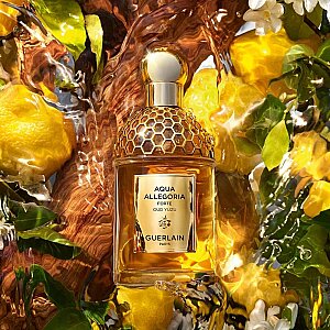 Guerlain Aqua Allegoria Forte Oud Yuzu Kadın Parfüm Edp 75 Ml - 3