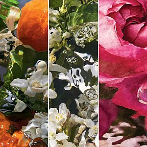 Guerlain Aqua Allegoria Forte Rosa Palissandro Kadın Parfüm Edp 75 Ml - 5