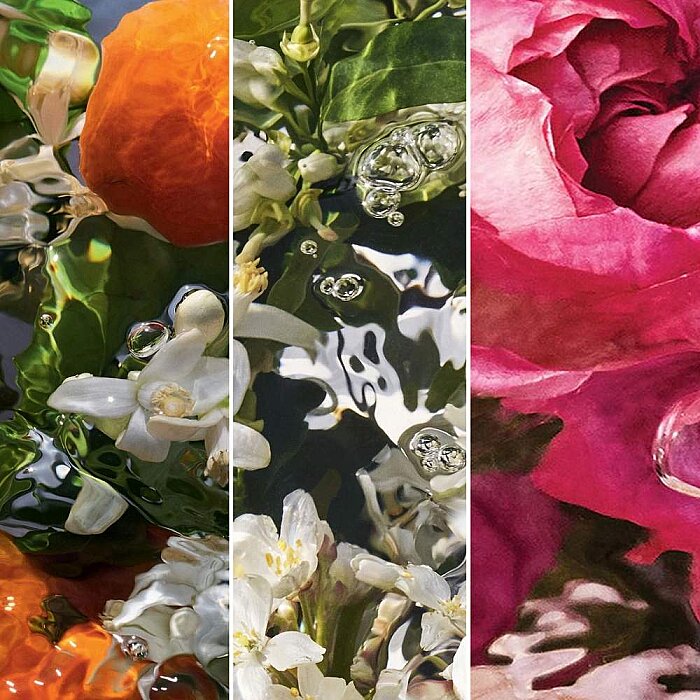 Guerlain Aqua Allegoria Forte Rosa Palissandro Kadın Parfüm Edp 75 Ml - 5