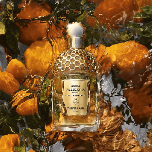 Guerlain Aqua Allegoria Harvest Mandarine Basilic Kadın Parfüm Edt 125 Ml - Thumbnail
