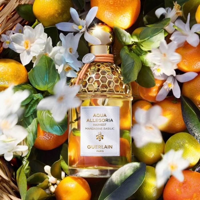 Guerlain Aqua Allegoria Harvest Mandarine Basilic Kadın Parfüm Edt 125 Ml - 3