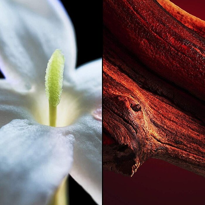 Guerlain Samsara Kadın Parfüm Edp 75 Ml - 3