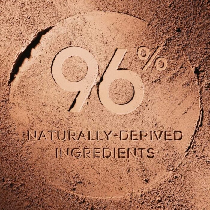 Guerlain Terracotta The Bronzing Powder 04 - 5