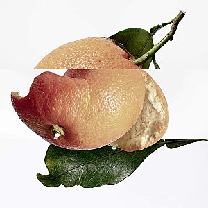 Hermes Eau Des Merveilles Kadın Parfüm Edt 50 Ml - 3