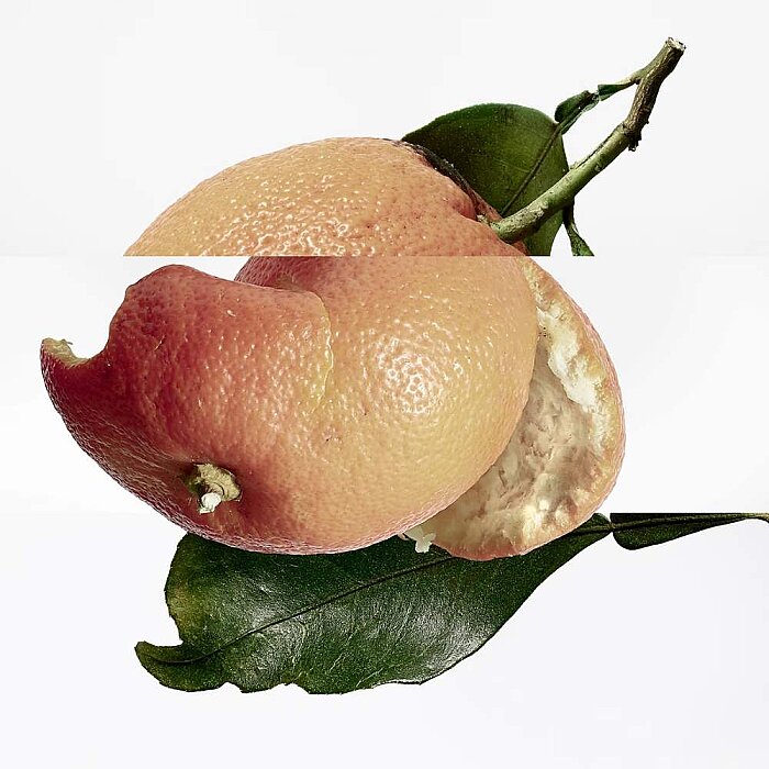 Hermes Eau Des Merveilles Kadın Parfüm Edt 50 Ml - 3