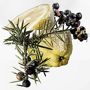 Hermes Terre d'Hermes Eau Givree Erkek Parfüm Edp 100 Ml - 3