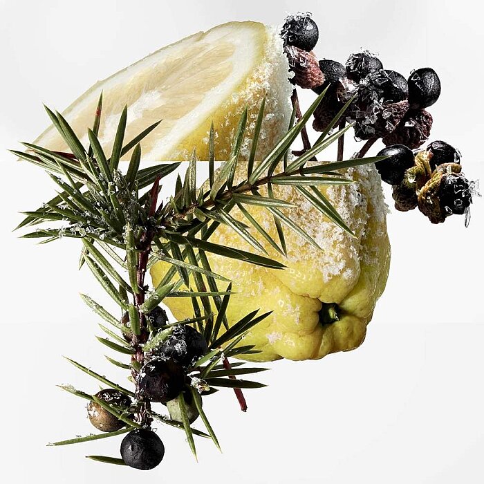 Hermes Terre d'Hermes Eau Givree Erkek Parfüm Edp 100 Ml - 3