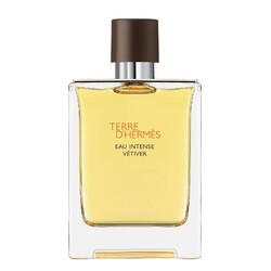 Hermes Terre D'Hermes Eau Intense Vetiver Erkek Parfüm Edp 100 Ml - Thumbnail