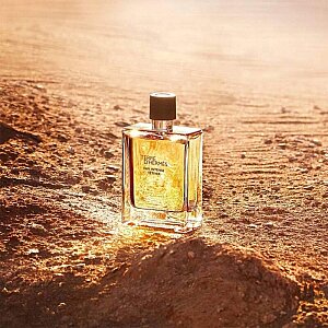 Hermes Terre D'Hermes Eau Intense Vetiver Erkek Parfüm Edp 100 Ml - 3
