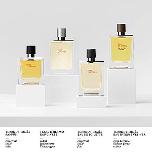 Hermes Terre D'Hermes Eau Intense Vetiver Erkek Parfüm Edp 200 Ml - 4