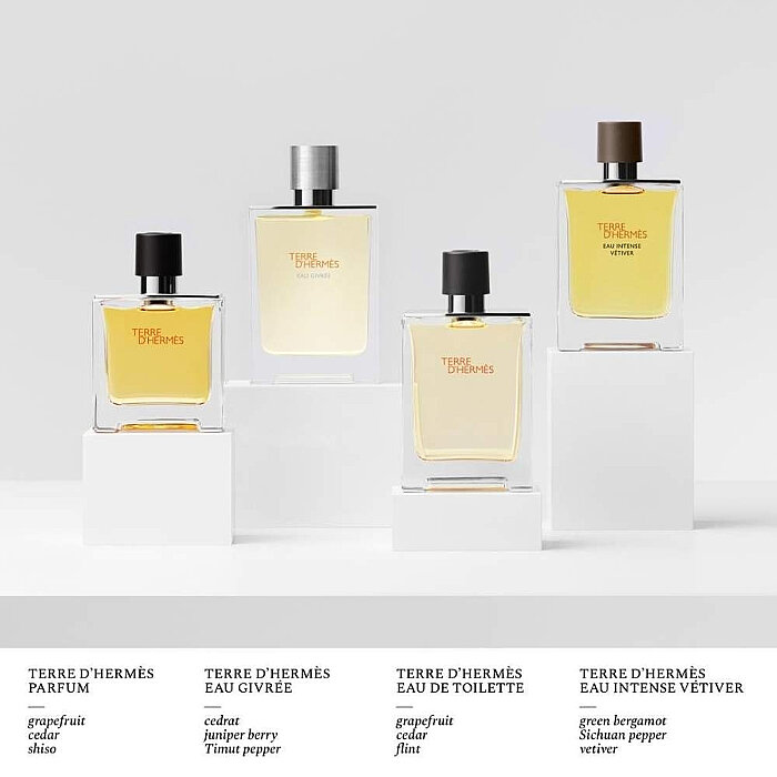 Hermes Terre D'Hermes Eau Intense Vetiver Erkek Parfüm Edp 200 Ml - 4
