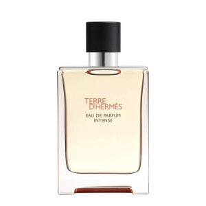 Hermes Terre D'Hermes Erkek Parfüm Edp Intense 100 Ml - Hermes
