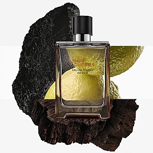 Hermes Terre D'Hermes Erkek Parfüm Edp Intense 100 Ml - 3