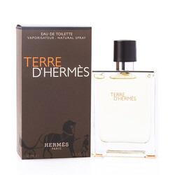 Hermes Terre D'Hermes Erkek Parfüm Edt 100 Ml - Thumbnail