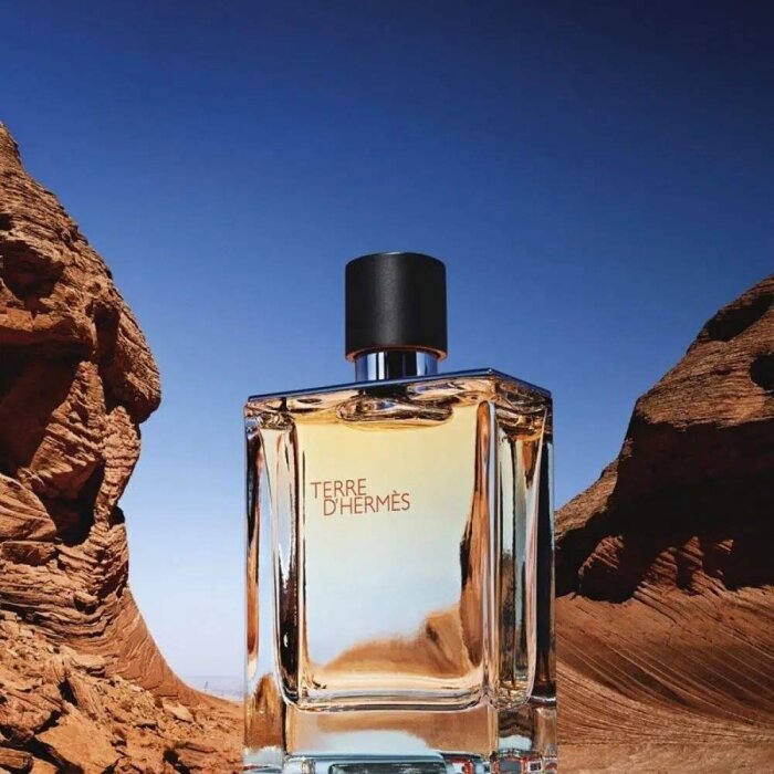 Hermes Terre D'Hermes Erkek Parfüm Edt 100 Ml - 5