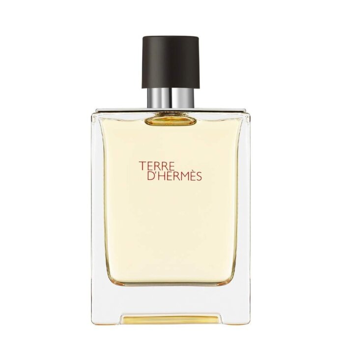 Hermes Terre D'Hermes Erkek Parfüm Edt 100 Ml - 1