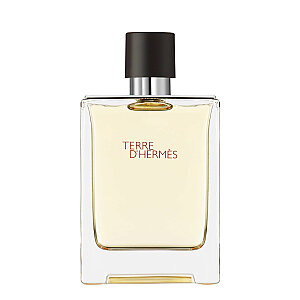 Hermes Terre D'Hermes Erkek Parfüm Edt 100 Ml - Hermes