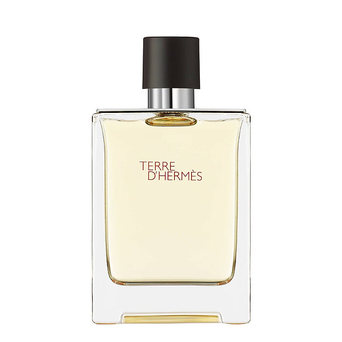 Hermes Terre D'Hermes Erkek Parfüm Edt 100 Ml - 1