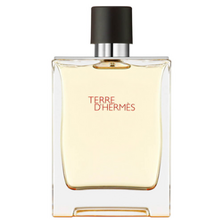 Hermes Terre D'Hermes Erkek Parfüm Edt 200 Ml - Thumbnail
