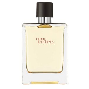 Hermes Terre D'Hermes Erkek Parfüm Edt 200 Ml - Hermes