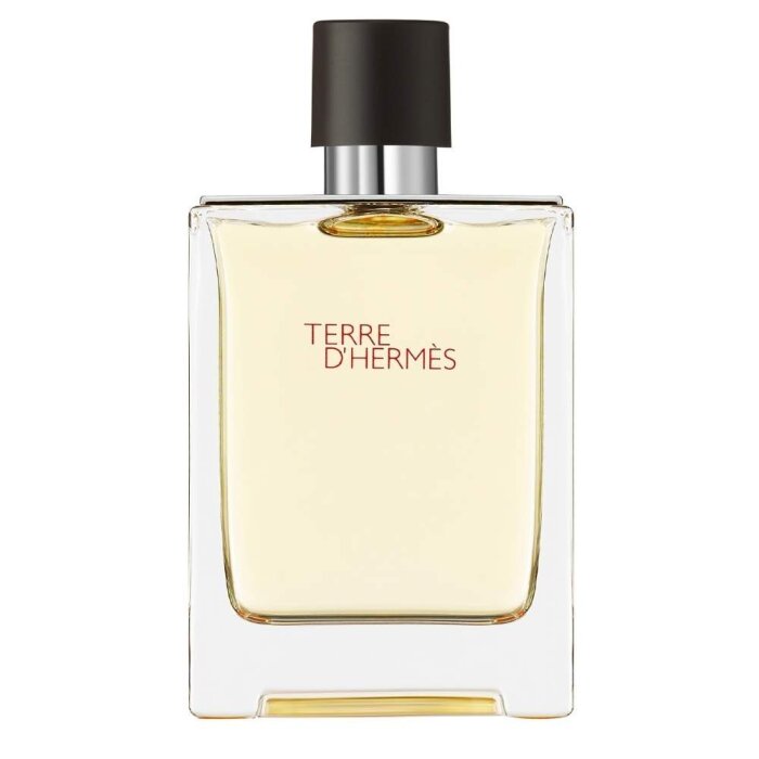 Hermes Terre D'Hermes Erkek Parfüm Edt 200 Ml - 1