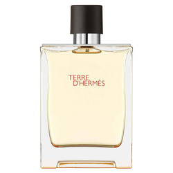 Hermes Terre D'Hermes Erkek Parfüm Edt Refill 125 Ml - Thumbnail