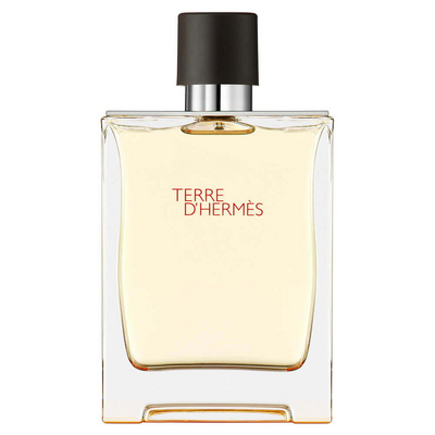 Hermes Terre D'Hermes Erkek Parfüm Edt Refill 125 Ml