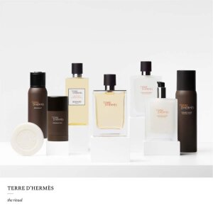 Hermes Terre D'Hermes Erkek Parfüm Edt Refill 125 Ml - 5