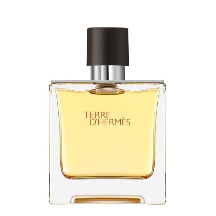 Hermes Terre D'Hermes Erkek Parfüm Pure Parfum 75 Ml - 1