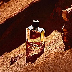 Hermes Terre D'Hermes Erkek Parfüm Pure Parfum 75 Ml - 4