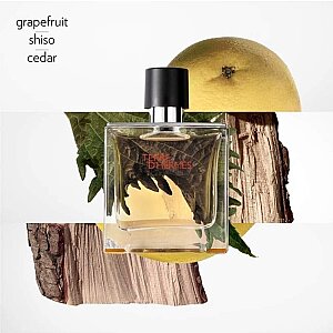 Hermes Terre D'Hermes Erkek Parfüm Pure Parfum 75 Ml - 3